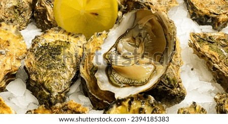Explore the exquisite world of seafood with this captivating image of fresh oysters. Glistening in their shells, these briny delicacies promise a taste of the ocean's finest flavors. The soft, muted h