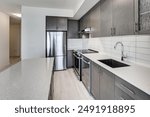 Explore modern and space-saving condo apartment kitchen designs. Perfect for small apartments, these photos showcase stylish kitchen cabinets and innovative layout solutions.