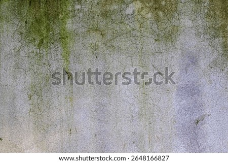 Explore 'Natural Decay: Green Algae and Old Cracked Wall Texture'. A versatile image for creative projects. High-resolution 4K image. Enhance your visuals.