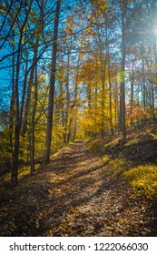 Explore Park - Roanoke, VA