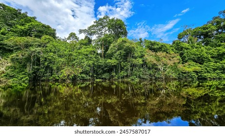  Explore the Peru Amazon rainforest by boat