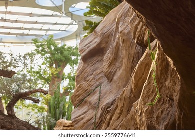 Explore the serene beauty of the greenhouse garden pavilion at One Haymarket Sandbar featuring lush greenery and unique rock formations - Powered by Shutterstock