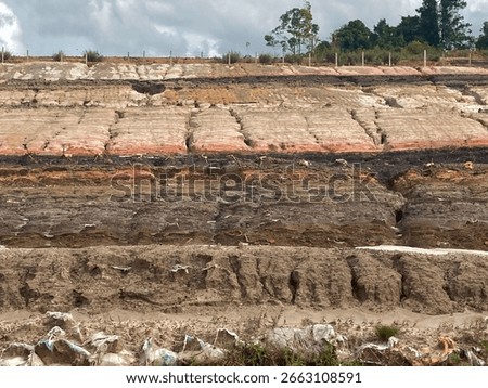 Explore stunning geological layers. This photo reveals an intricate cross section of earth, showcasing diverse soil strata. Perfect for stratification geology, environmental, and educational projects