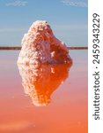 Explore the stunning natural wonder of the Alviso Pink Lake Park in California. A large, conical salt formation emerges from vibrant pink waters, creating a captivating scene against a clear blue sky.