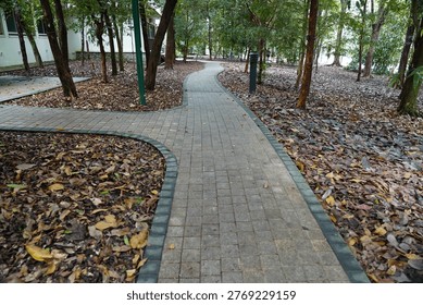 Explore a tranquil pathway winding through a vibrant forest setting, where fallen leaves carpet the ground beside a walkway. Trees provide shade in this peaceful outdoor setting.