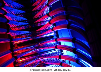 Explore a vibrant display of network cables illuminated in striking blue and red hues, showcasing the intricate design of modern data infrastructure.