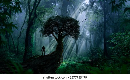 Explorer observing a jungle landscape - Shutterstock ID 1577735479