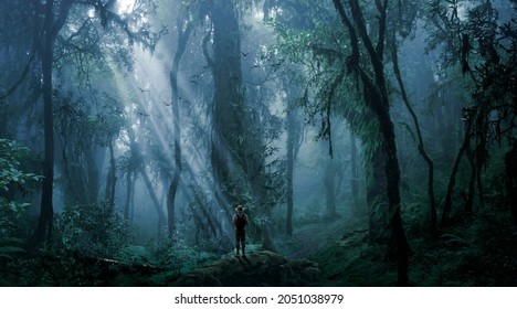 Explorer Observing A Jungle Landscape