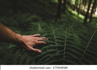 Explorer people searching the right directions in the jungle .Survival travel,lifestyle concept with freen fern background - Shutterstock ID 1774549589