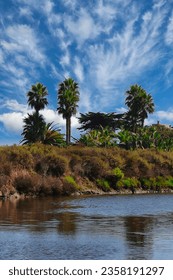 Exploring the Carpinteria Salt Marsh during summer monsoon storms