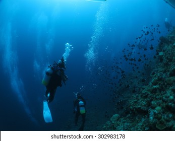 Exploring Divers In The Deep Sea Scuba Diving Okinawa,Japan