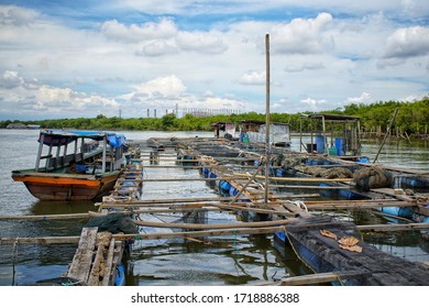 Exploring Fish Breeding Grounds Traditional Fishermen In The Fishing Village Near The Port Of Belawan