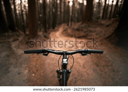 Exploring Forest Trails on a Mountain Bike. Cycling Through Nature.