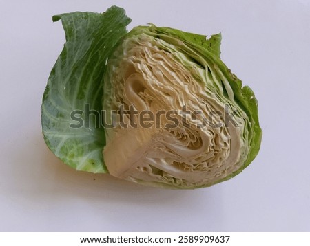 Exploring the Intricacies of Cabbage Leaf Anatomy