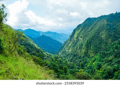 Exploring majestic mountain valleys lush green forests nature photography scenic landscape outdoor adventure tranquil environment - Powered by Shutterstock