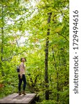 exploring the maple forests of Quebec