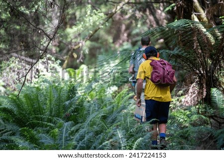 exploring in a rainforest on a trail with a backpack and hiking boots 