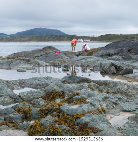 Similar – Beach scene