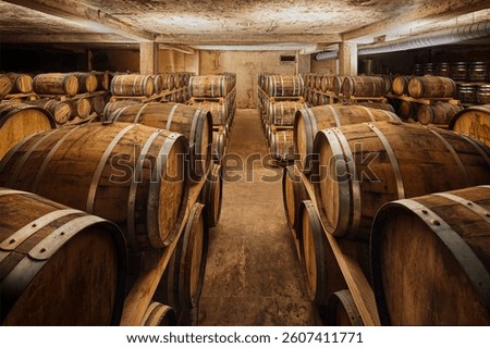 Exploring the Rustic Charm of a Fully Stocked Wine Cellar with Rows of Classic Wooden Barrels and a Warm, Inviting Atmosphere Ideal for Aging Fine Wines