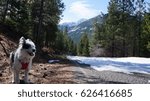 Exploring Washington State