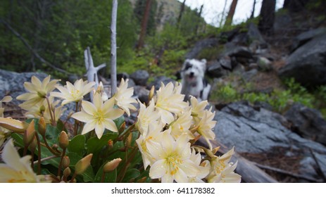 Exploring Washington State, Mad River Valley