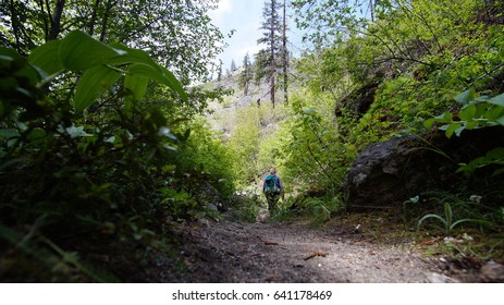 Exploring Washington State, Mad River Valley