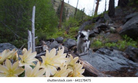 Exploring Washington State, Mad River Valley