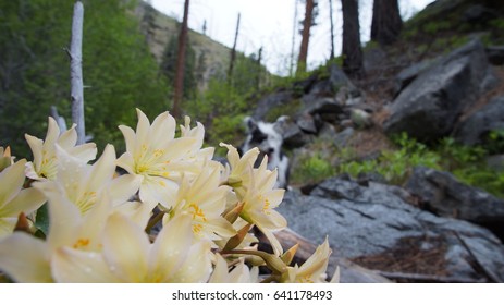 Exploring Washington State, Mad River Valley