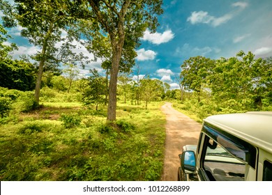 Exploring wild life and amazing nature landscape at jeep safari in Yala National Park, Sri Lanka