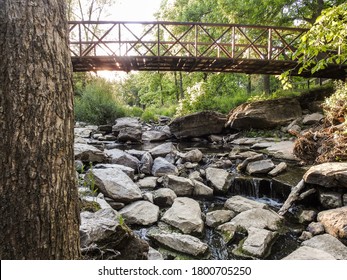 Exploring Your Own Backyard. Adventuring Through The Woods Along The Stream On A Nice Summer Evening.