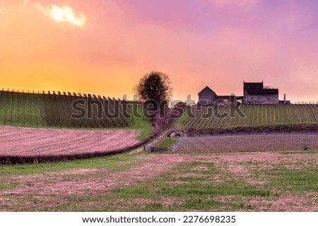explosion of colours during sunset over a valley in Maastricht with a beautiful cloudscape and view of the rolling hill landscape with vineyards of the oldest winery in the South of the Netherlands 