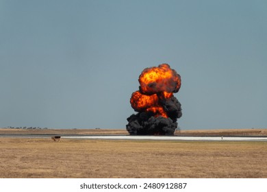 Explosion occur in a demostration