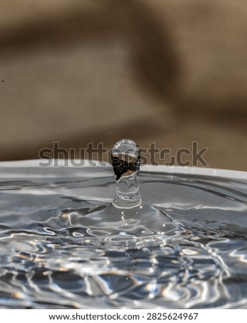 Explosive high-speed macro shot of a water splash erupting into a spectacular cascade of suspended droplets, freezing a split-second of pure liquid energy invisible to the naked eye — a dramatic, high-impact image ideal for water brands, sports drinks, cosmetics, environmental campaigns and premium advertising