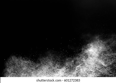 Explosive powder white. splashing in motion isolate on black background. smoke on black.