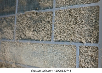 A Exposed Ac Filter Full Of Dirt And Dust Particles. Part Of A Split Type Air Conditioning Unit For Indoor Room