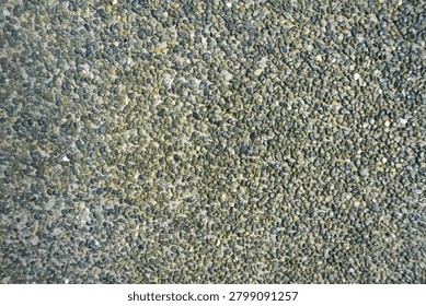 Exposed aggregate concrete surface with the texture consists of tighly packed small green and grey pebbles, commonly used for outdoor walkaways.