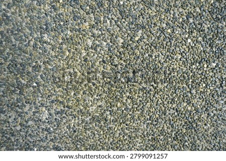 Exposed aggregate concrete surface with the texture consists of tighly packed small green and grey pebbles, commonly used for outdoor walkaways.