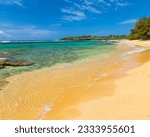 Exposed Coral Reef on Mahaulepu Beach, Mahaulepu Heritage Trail, Poipu, Kauai, Hawaii, USA