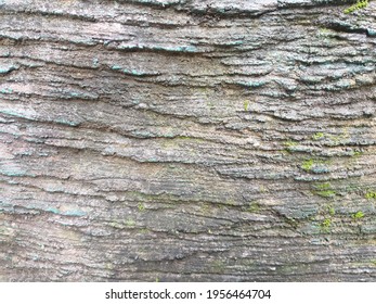 Exposed Grey Mossy Rock Wall Surface Pattern Texture