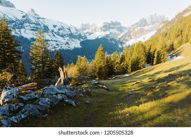 Exposed mountains, forest hilly landscape and green view. Nature park. - Shutterstock ID 1205505328