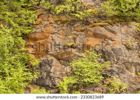 exposed rock on the side of the earth is visible as weather wind and water erode away at the mountainside crumbling off pieces and green native plants slowly take over the bare spots of dirt