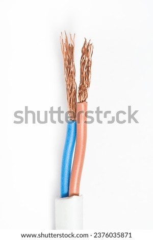 Exposed wires close-up on a white background.
