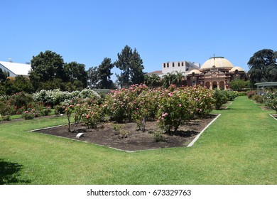 Exposition Park Rose Garden Beautiful Day