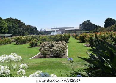 Exposition Park Rose Garden Beautiful Day