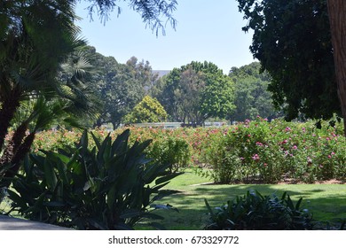 Imagenes Fotos De Stock Y Vectores Sobre Exposition Park Los