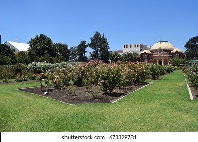 Exposition Park Rose Garden Beautiful Day