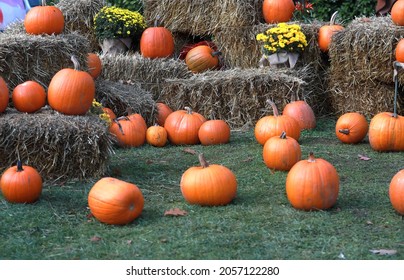 3,983 Pumpkins hay bales Stock Photos, Images & Photography | Shutterstock