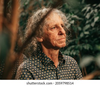 expressive portrait of male mature musician with gray curly hair, enjoying playing musical instrument piano. Artist, actor photo