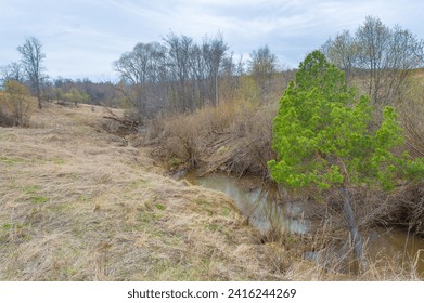 Exquisite oasis in the midst of endless fields A place where reflection meets the wild Experience the serenade of a beaver paradise. Uncover the mysteries of Mysterious Pond