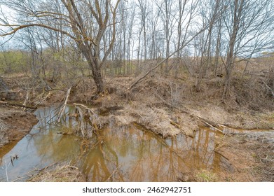 Exquisite oasis in the midst of endless fields A place where reflection meets the wild Experience the serenade of a beaver paradise. Uncover the mysteries of Mysterious Pond